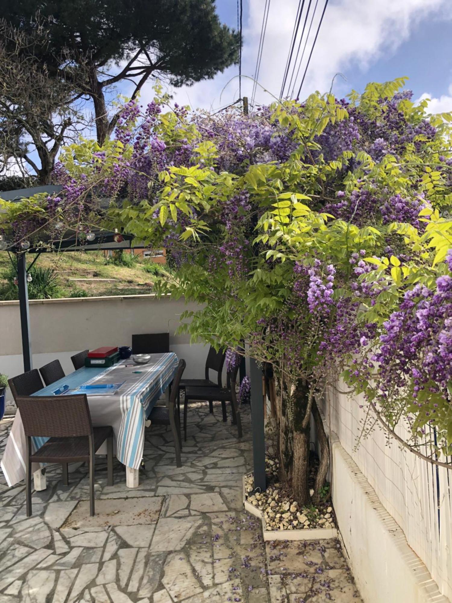 Charmante Petite Maison Typique Royan Juillet Location Minimum 7 Jours Pas De Court Sejour Saint-Georges-de-Didonne Exteriör bild